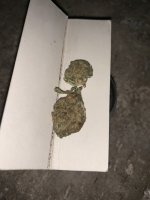 IMG_0039.jpeg