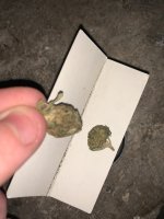 IMG_0041.jpeg