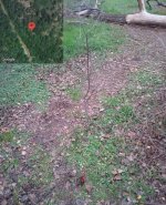 IMG_20250102_102243_071.jpg