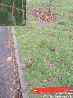 IMG_20250102_102246_500.jpg