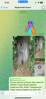 IMG_0572.png