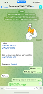 IMG_0600.png