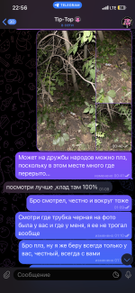IMG_6005.png
