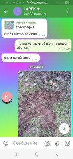 1000015981.jpg