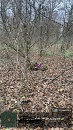 IMG_0927.jpeg