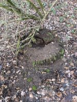IMG_0856.jpeg