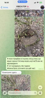 IMG_0907.png