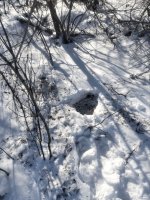 IMG_0005.jpeg