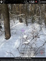 IMG_0002.jpeg