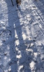 IMG_0012.jpeg