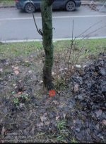 IMG_0033.jpeg