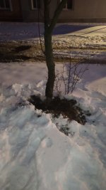 IMG_1035.jpeg