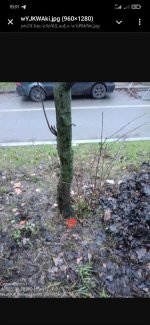 IMG_0884.jpeg