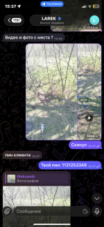 IMG_3042.png