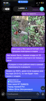 IMG_3047.png