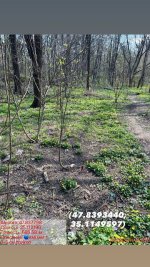 IMG_20260508_140348_527.jpg