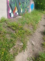 20260513_123250.jpg