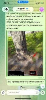 IMG_8003.jpeg