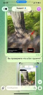 IMG_8004.jpeg