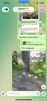 IMG_8006.jpeg