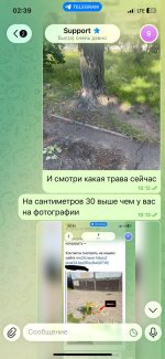 IMG_8007.jpeg