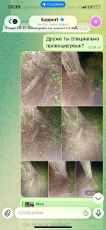 IMG_8013.jpeg