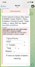 IMG_4679.jpeg